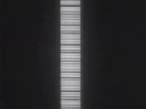 Sound Recording and Reproduction (Sound on Film) (1943).mp4.9.gif